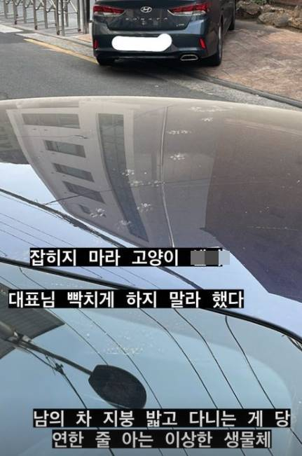 /사진=스윙스 인스타그램