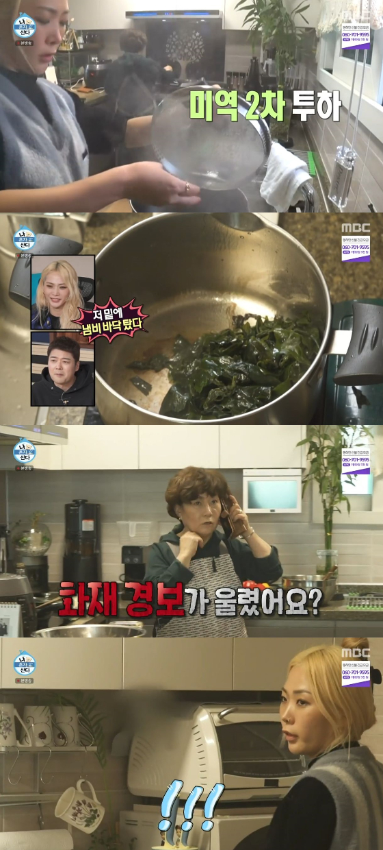 /사진=MBC '나혼자산다' 방송화면