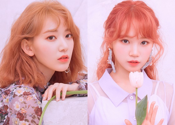 (왼쪽부터) 미야와키 사쿠라, 김채원 /사진제공=오프더레코드, 스윙엔터테인먼트