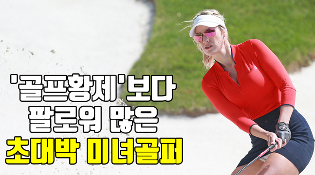 /그래픽=이원희 기자
