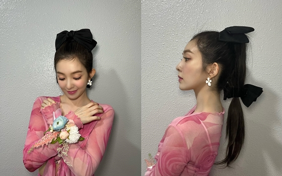 레드벨벳 아이린/사진=아이린 인스타그램