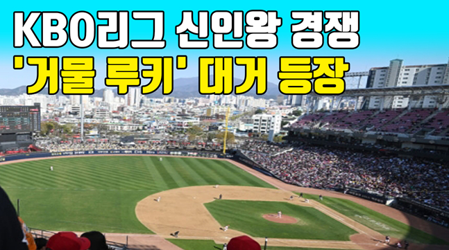 /그래픽=이원희 기자