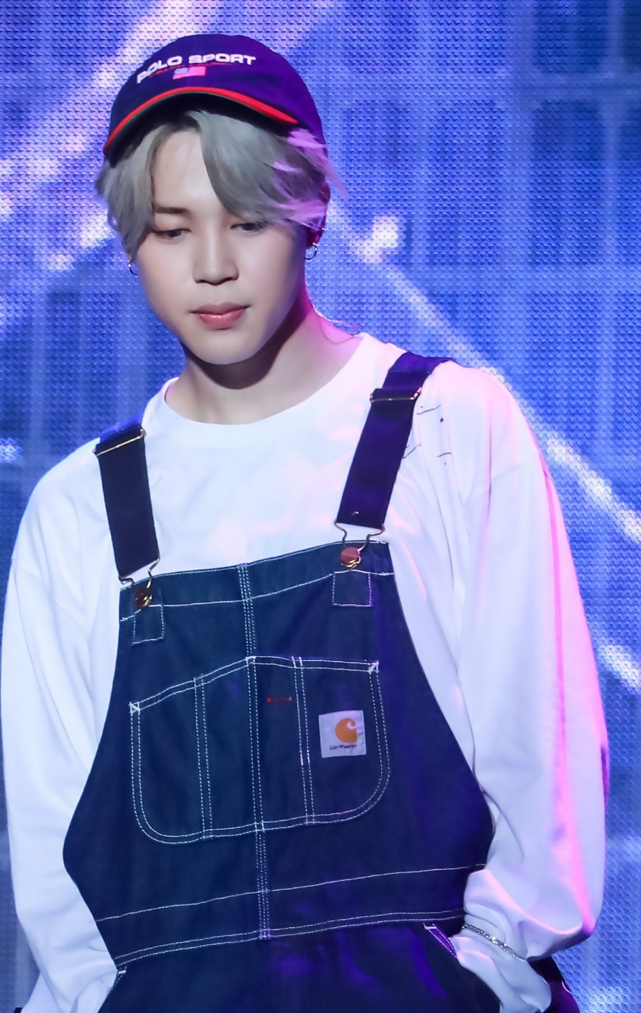 사진