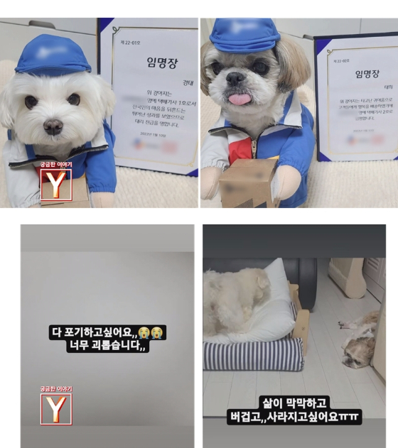 /사진제공=SBS