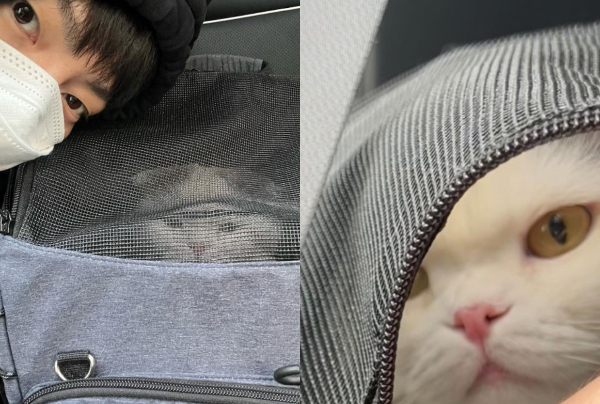 /사진=안재현 인스타그램