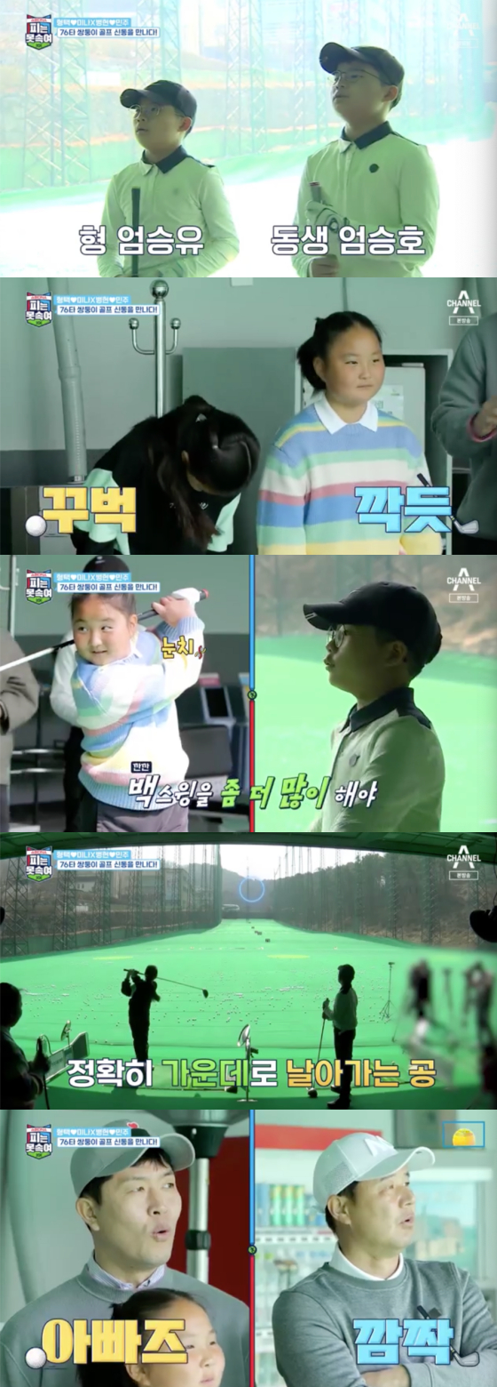 /사진=채널A '피는 못 속여' 방송 화면 캡처