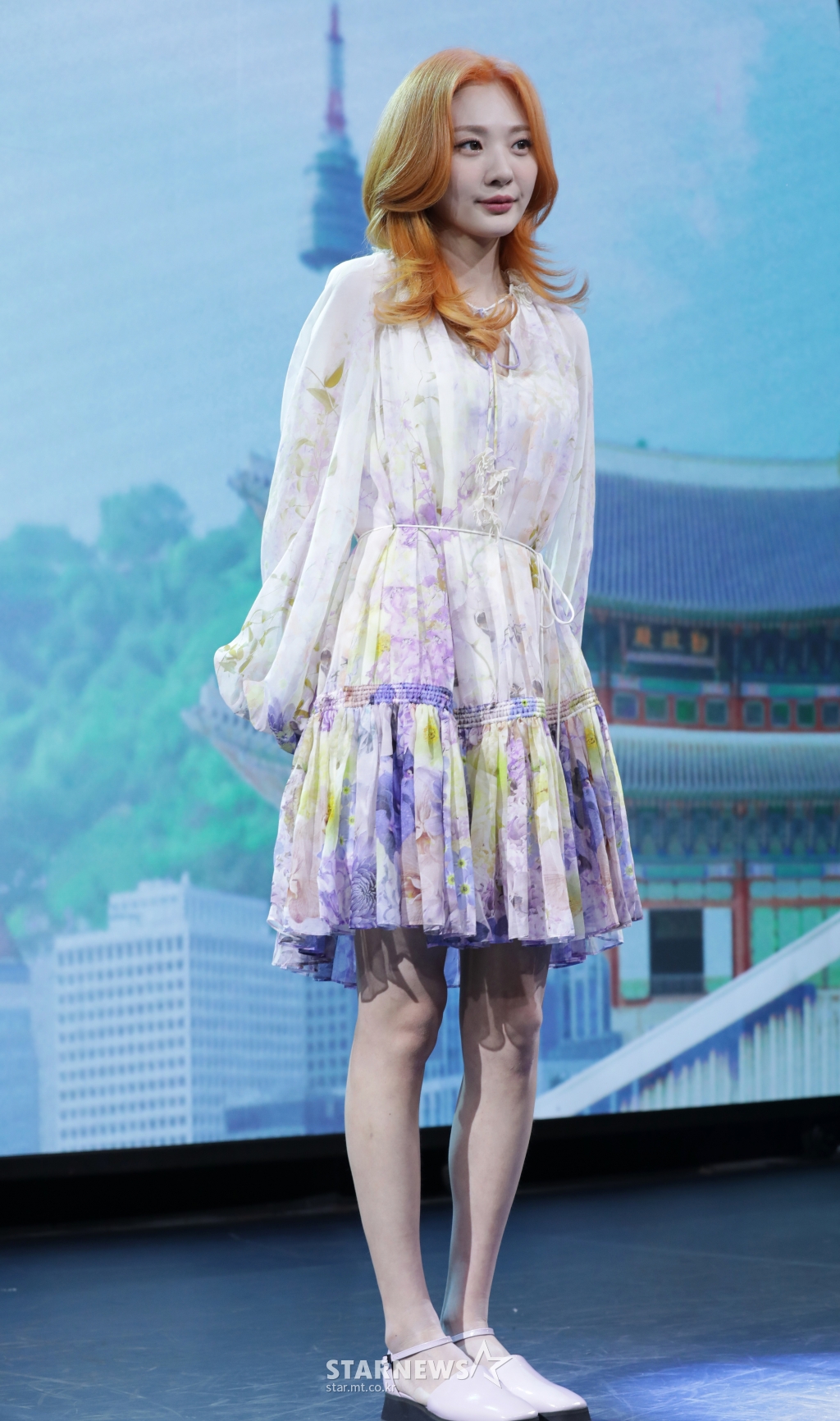 사진