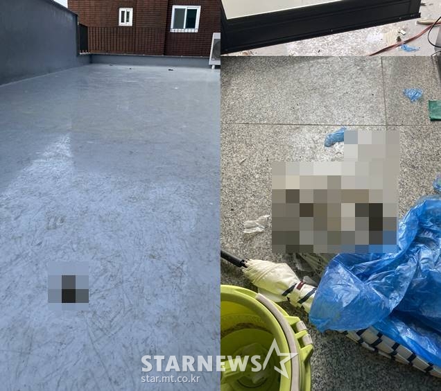 /사진=온라인 커뮤니티