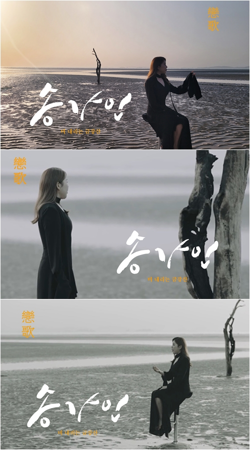 /사진=포켓돌스튜디오