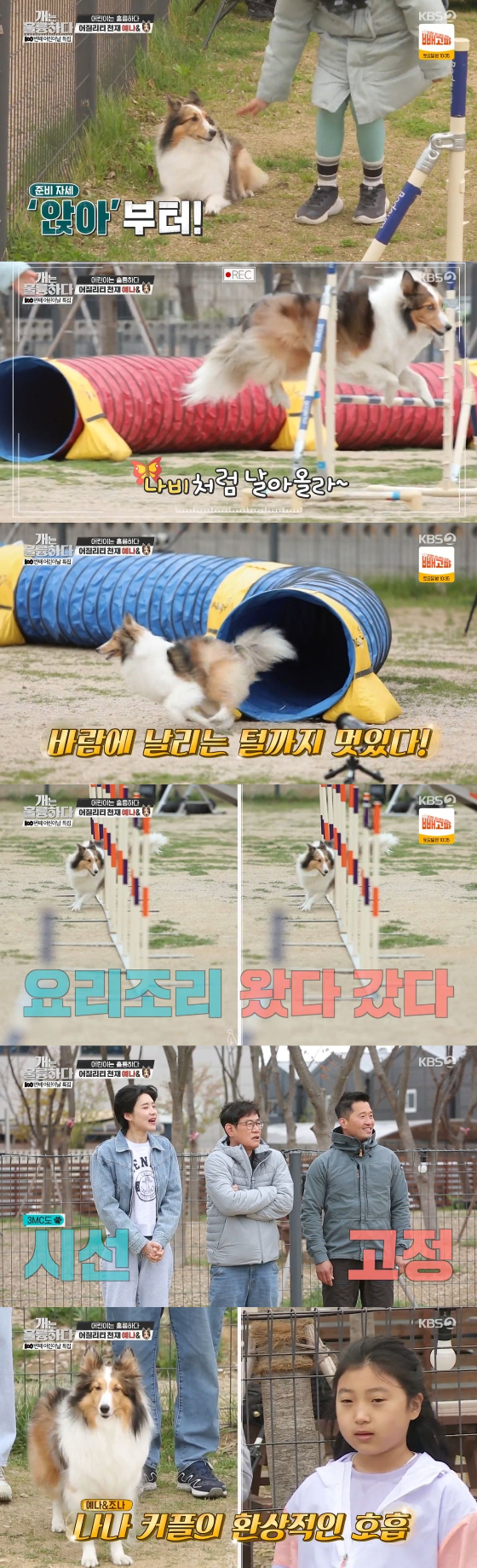 /사진=KBS 2TV '개는 훌륭하다' 방송화면
