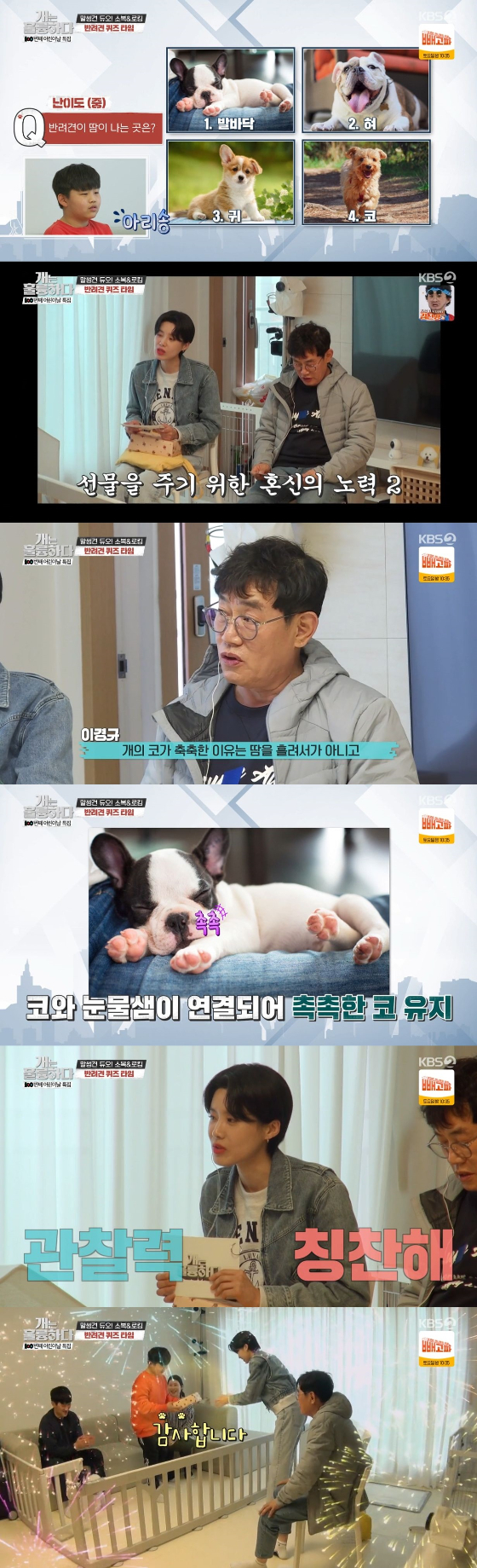 /사진=KBS 2TV '개는 훌륭하다' 방송화면