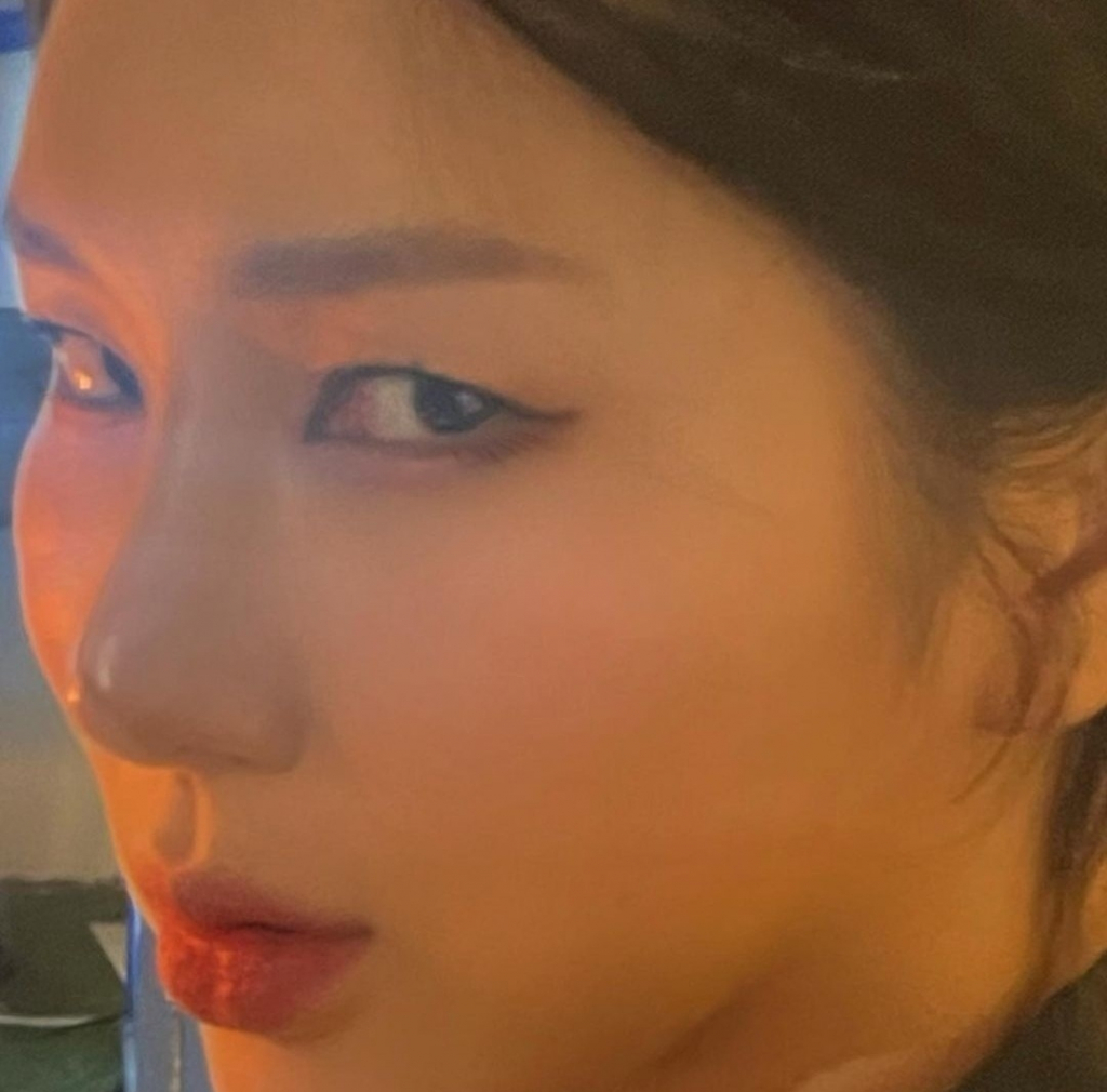 /사진=자이언트핑크 인스타그램