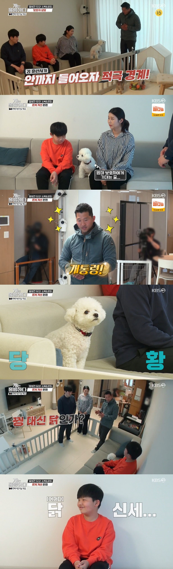 /사진=KBS 2TV '개는 훌륭하다' 방송화면