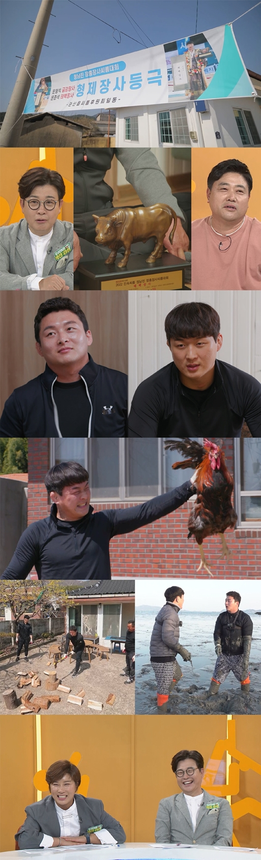 /사진=와이트리 컴퍼니