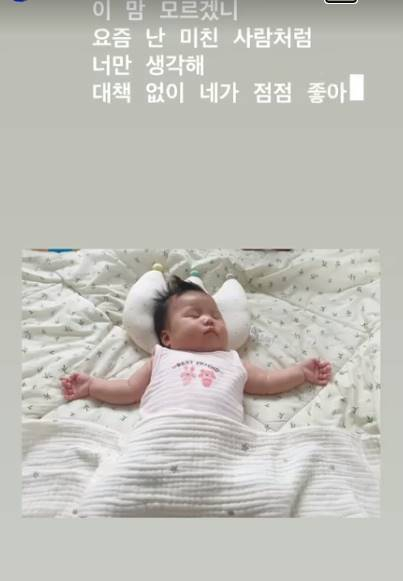 /사진=이택개 인스타그램