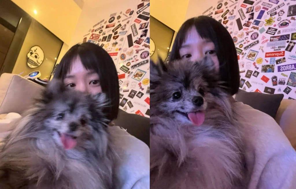 /사진=이유비 인스타그램