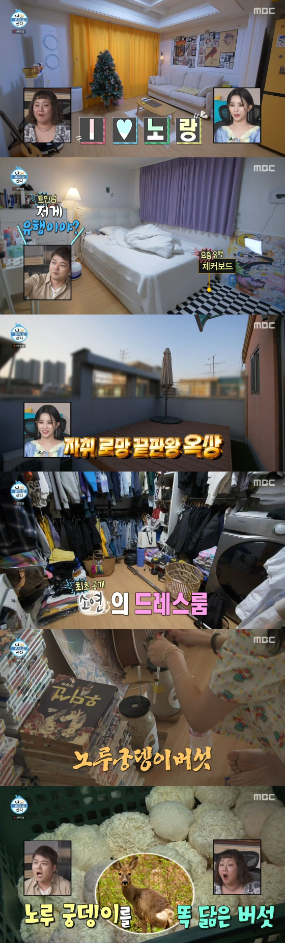 /사진=MBC '나 혼자 산다' 방송화면