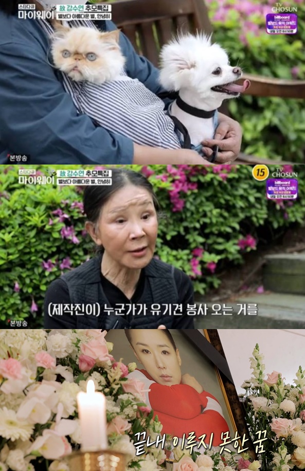 /사진=방송화면 캡처