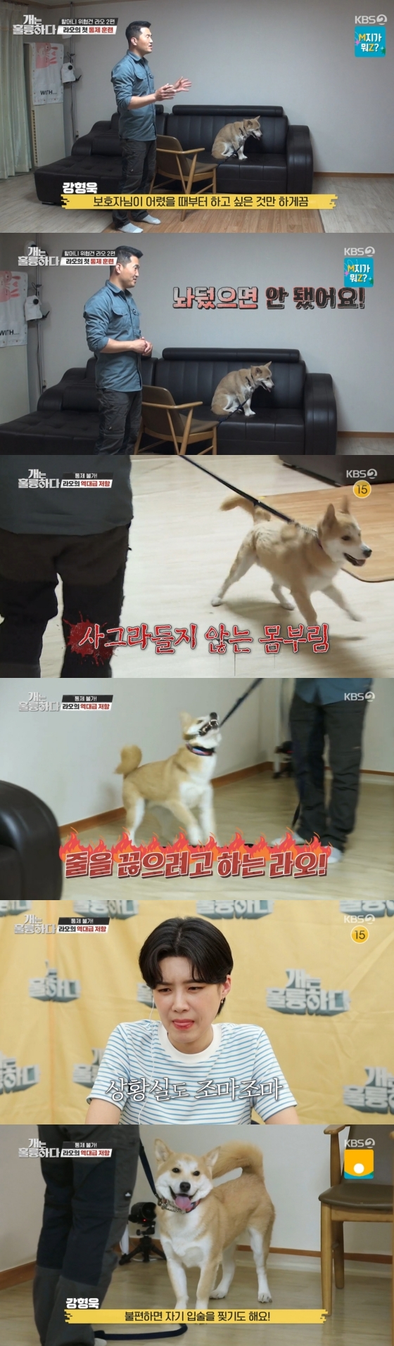 /사진='개는 훌륭하다' 방송화면