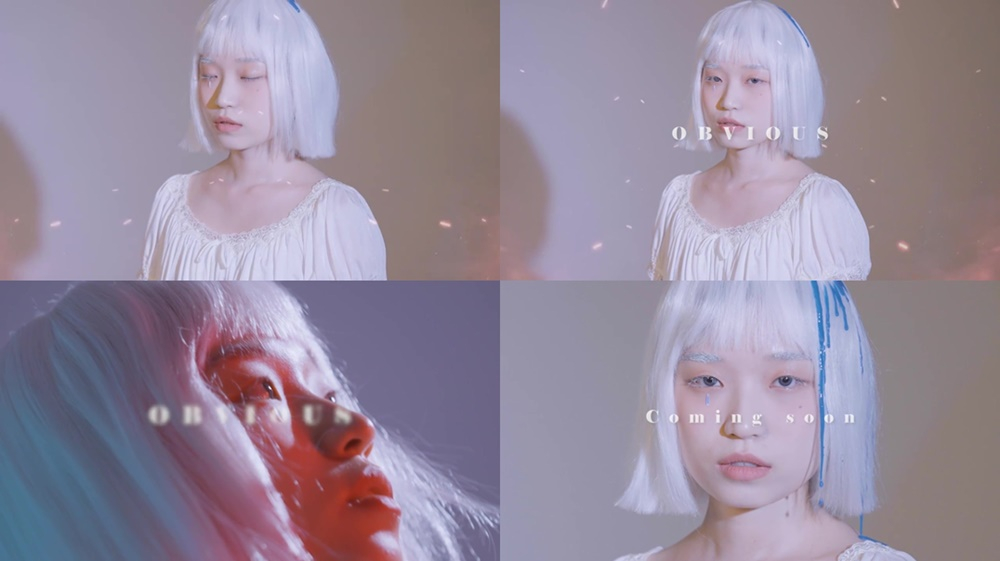 /사진=스타위브 엔터테인먼트