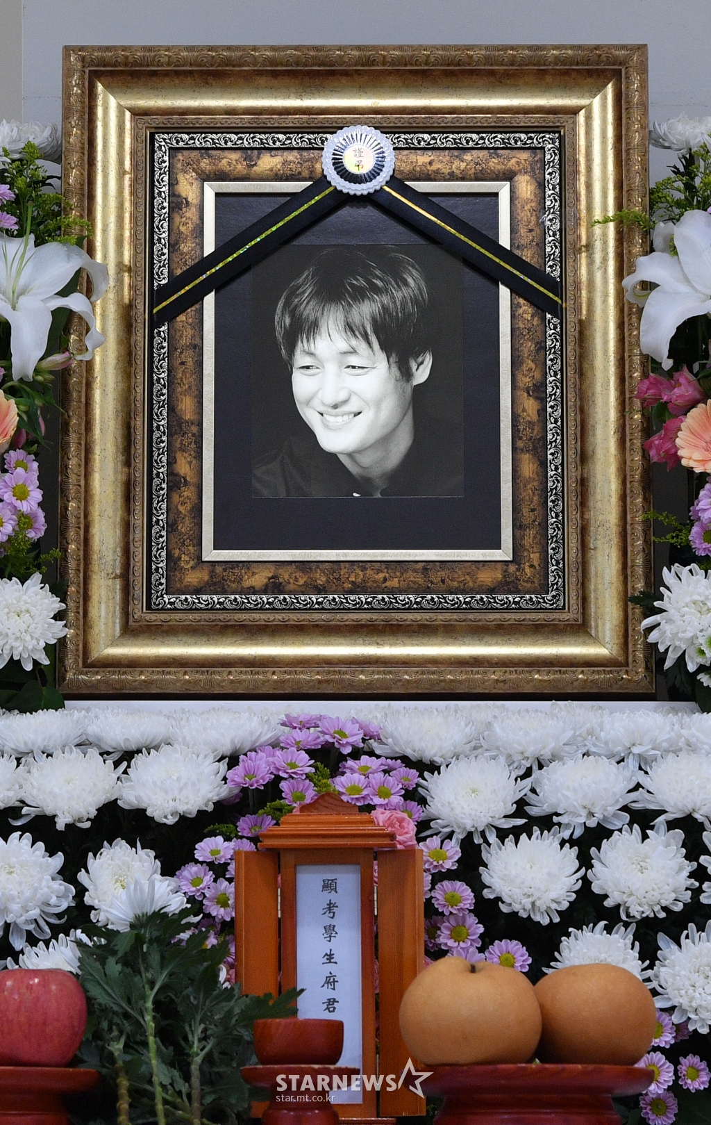 사진