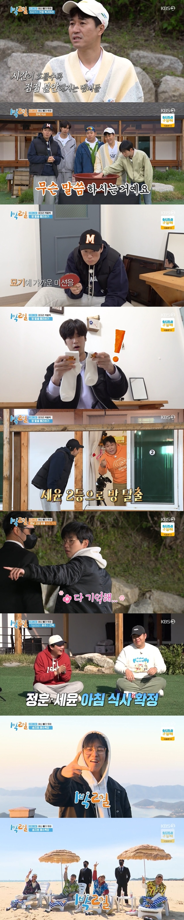 사진