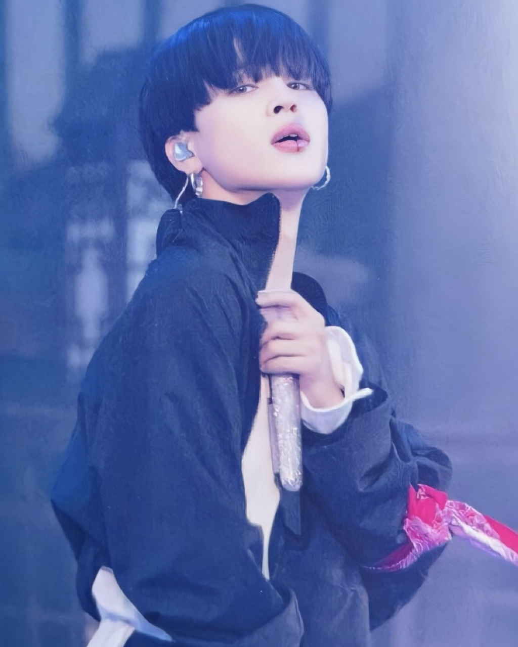 사진