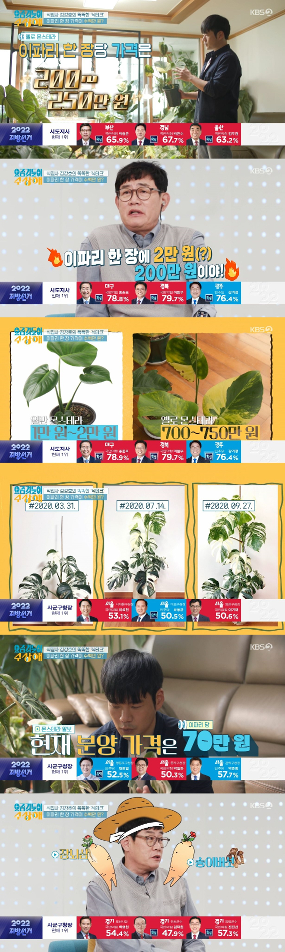 /사진=KBS 2TV '요즘것들이 수상해' 방송화면