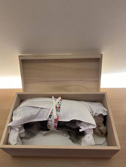 /사진=김영희 인스타그램