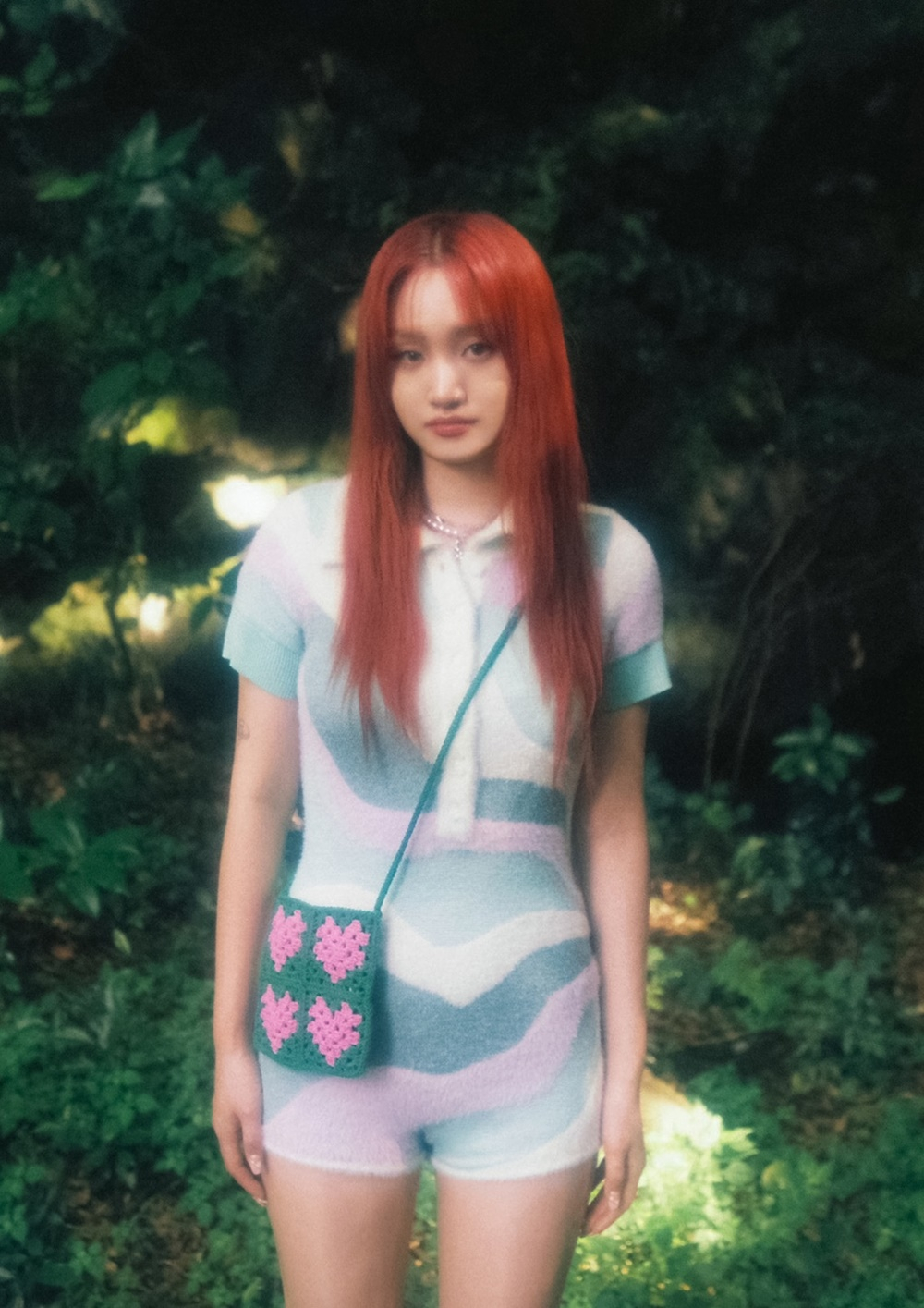 사진