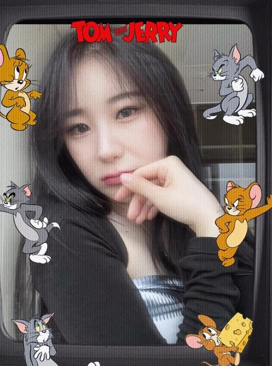 사진