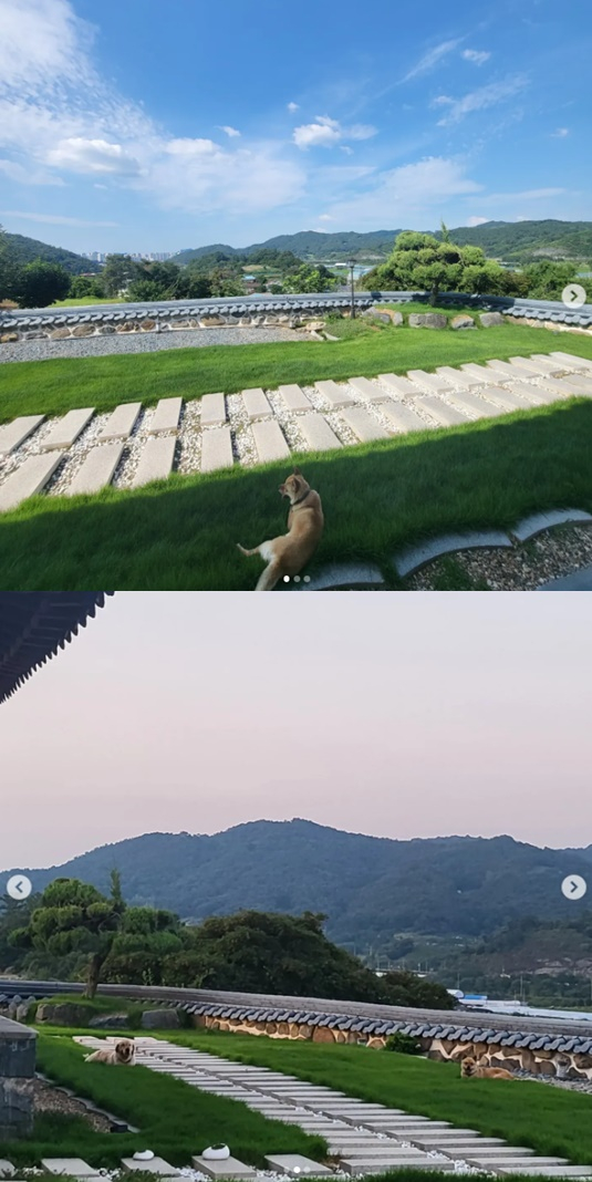 /사진=한다감 인스타그램