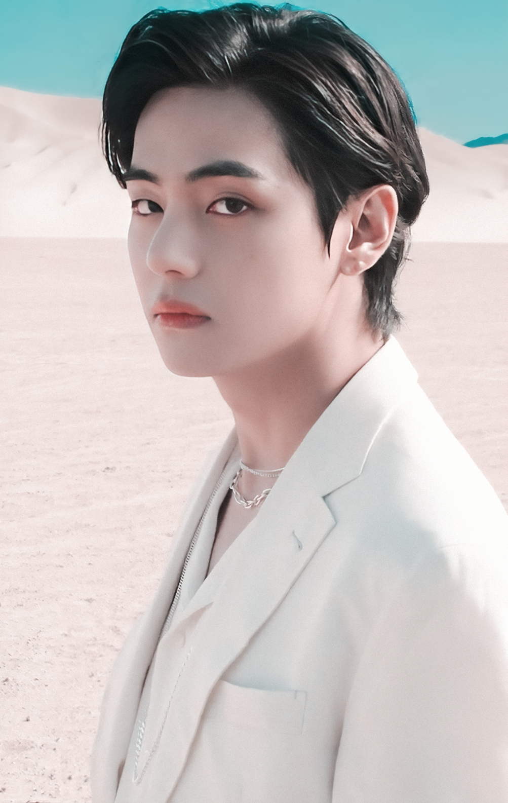 사진