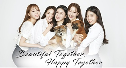 'Together'는 미스코리아, 동물권행동 카라, 원더보이스튜디오 대표 김도원 작가가 함께한 사회공헌 NFT 프로젝트로 'Together'는 함께하면 더욱 행복하고 아름답다는 의미를 담고 있다. 이 프로젝트는 중대형견의 입양을 장려하기 위해 기획되었으며 판매 수익금은 기부되며, 사진집에 등장하는 동물들은 카라에서 보호하고 있는 누군가의 소중한 가족이 될 아이들이다.