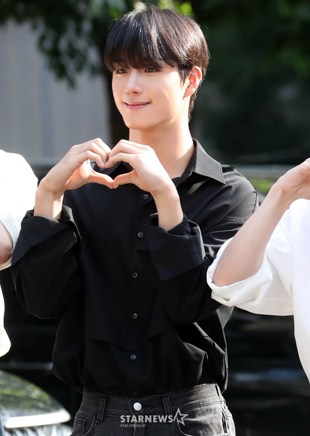 사진