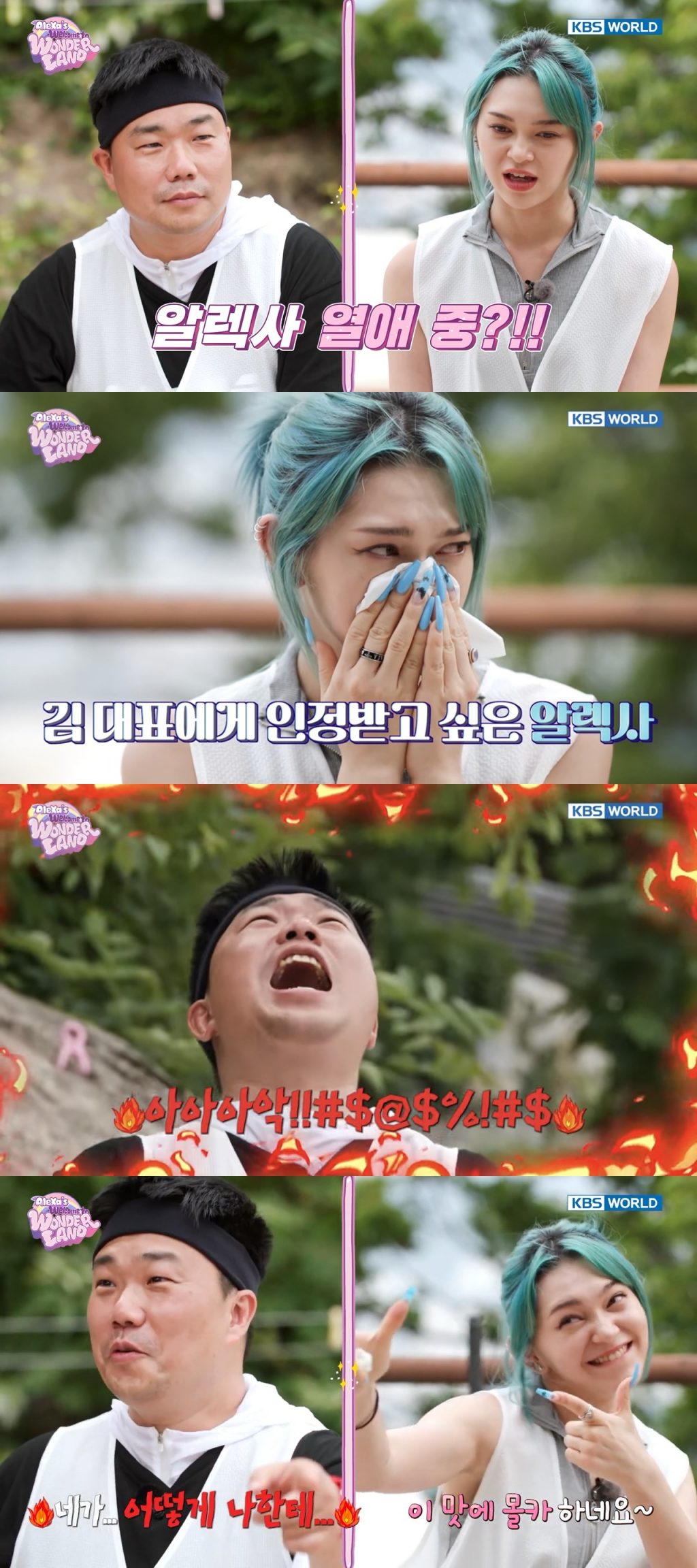 사진