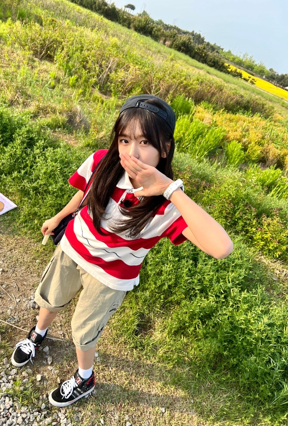 사진