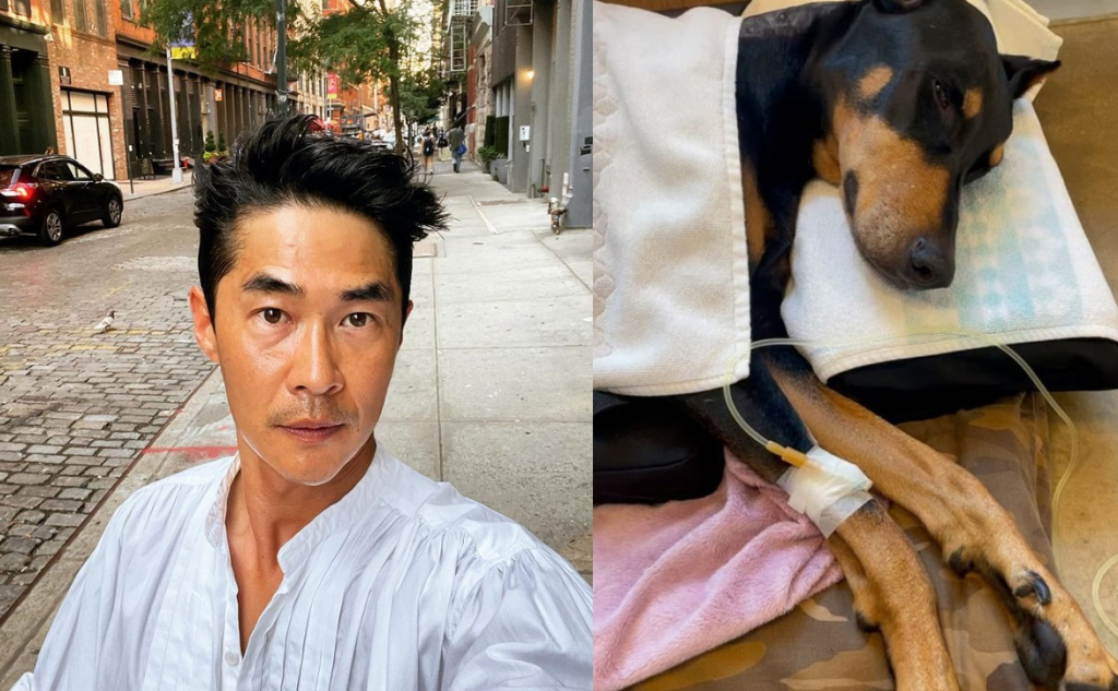 모델 겸 방송인 배정남 /사진=배정남 인스타그램