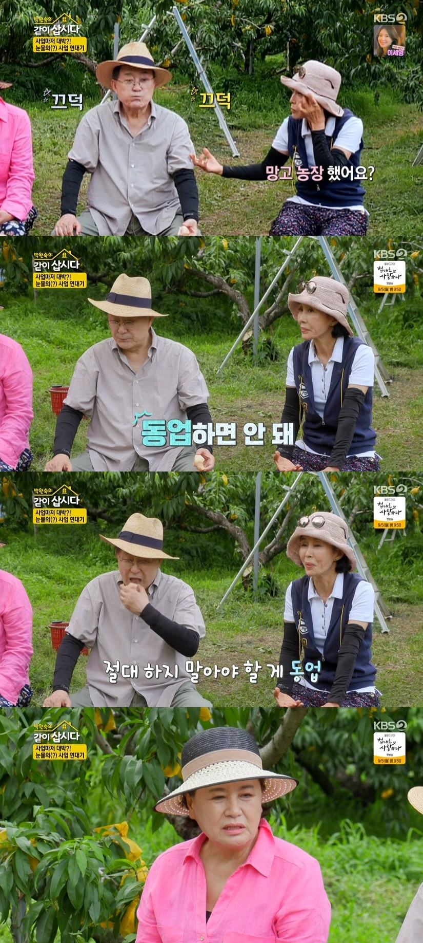 /사진=KBS 2TV 예능프로그램 '박원숙의 같이 삽시다' 방송화면