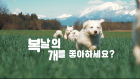 /사진=용이 감독 프로젝트 '복날의 개를 좋아하세요'