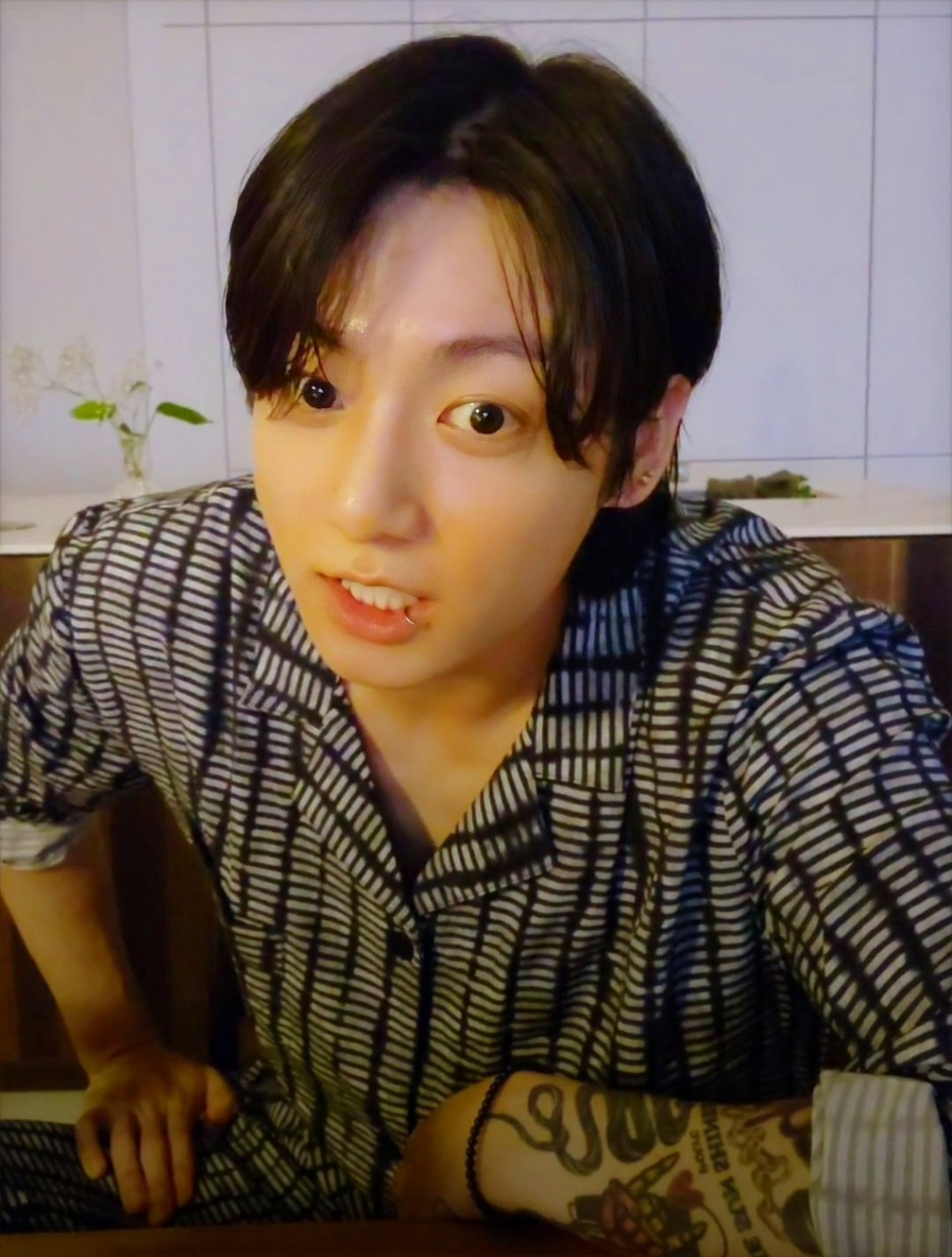 사진