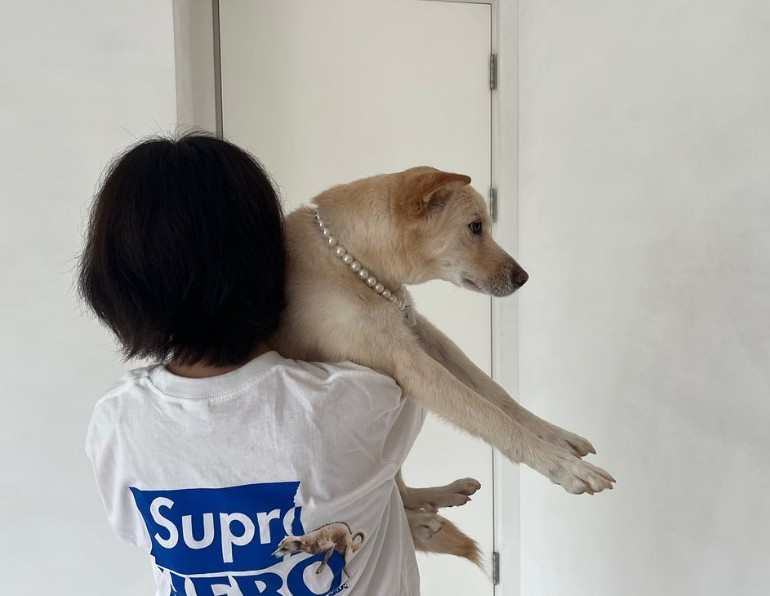사진