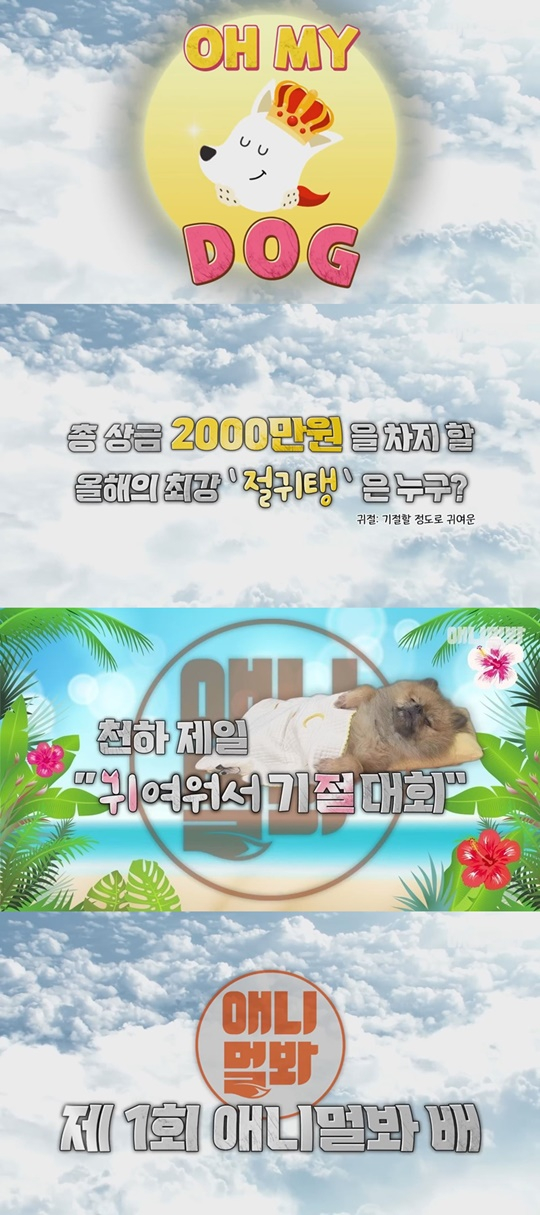 /사진=SBS