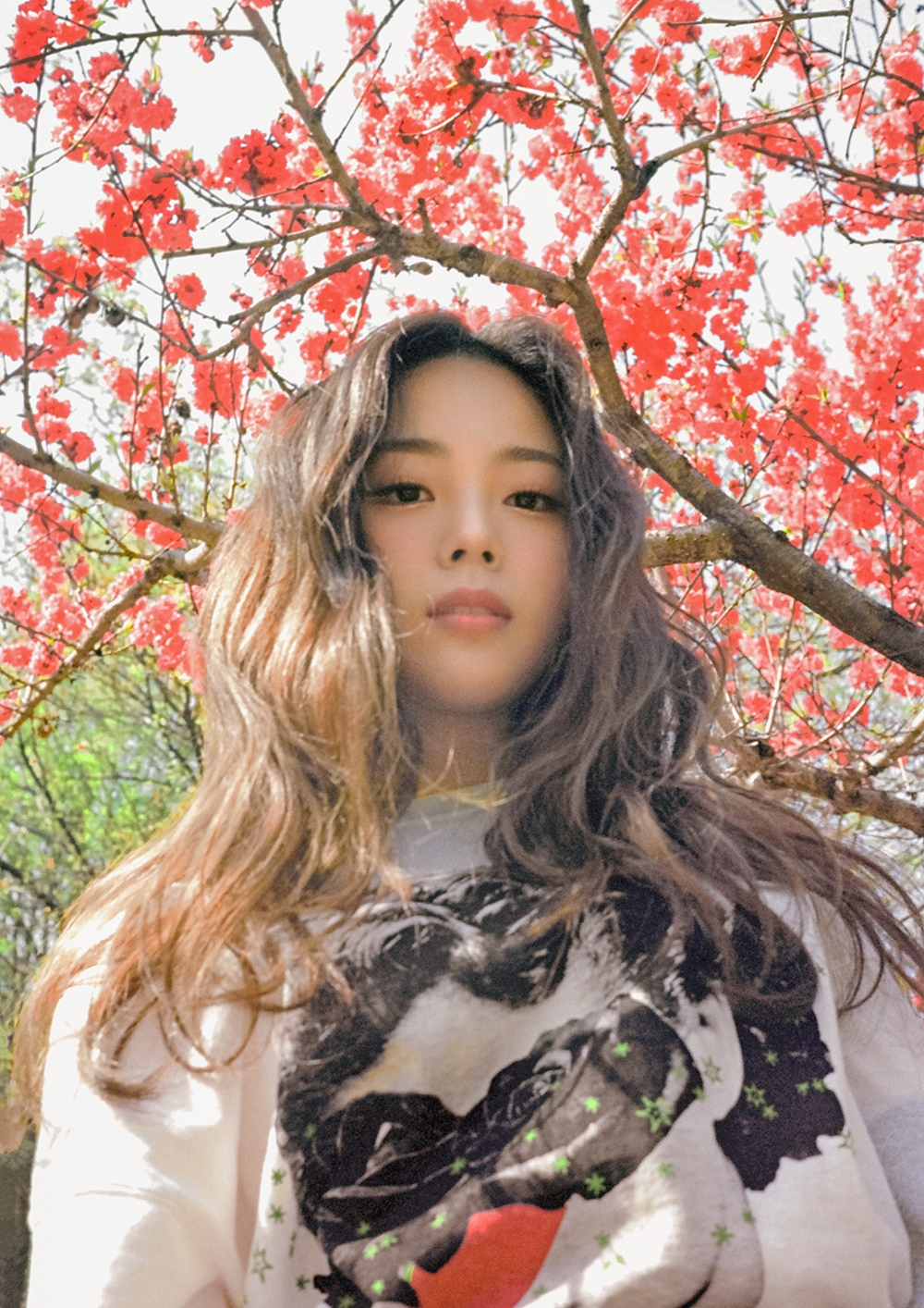 사진
