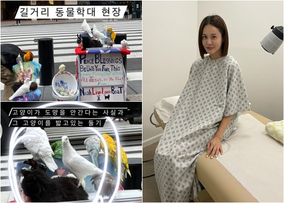 /사진=아이비 인스타그램