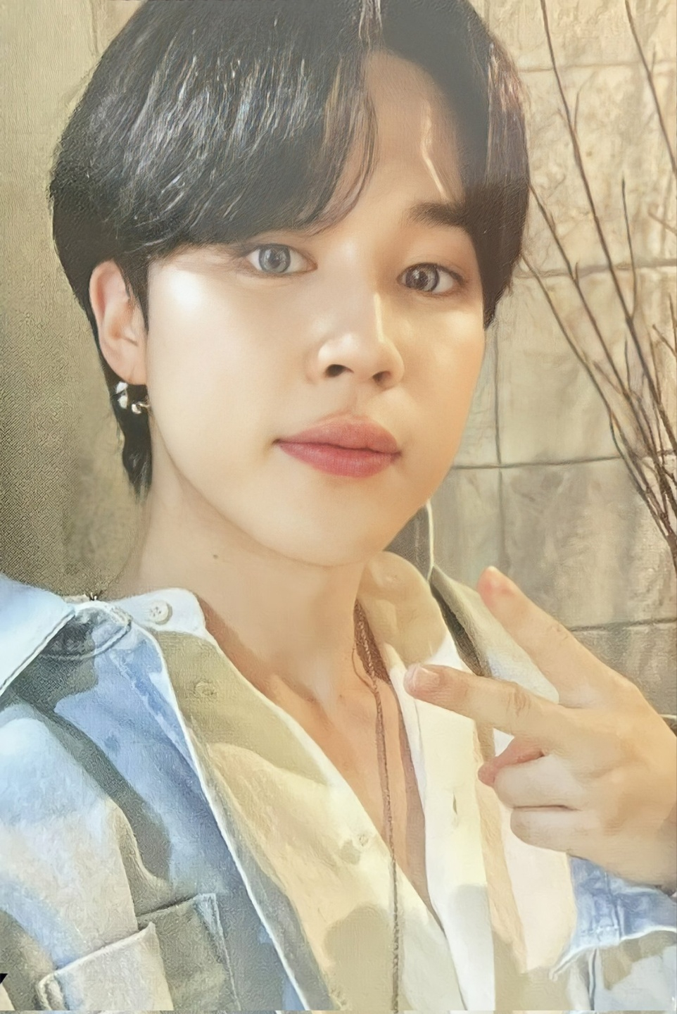 사진