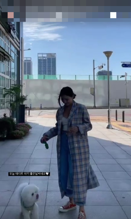 사진