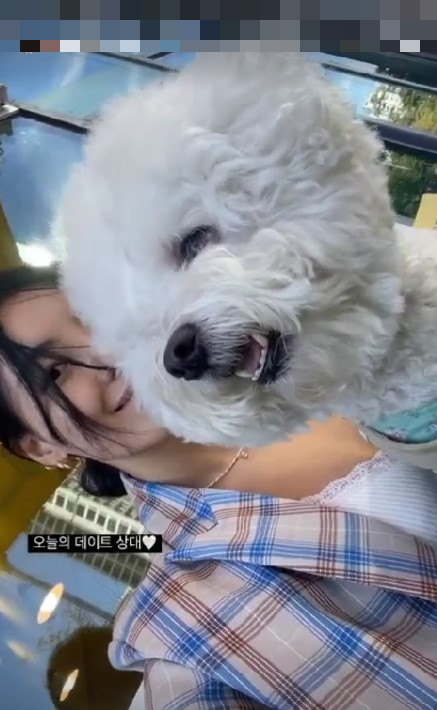 사진