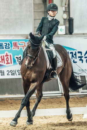 /사진제공=한국학생승마협회