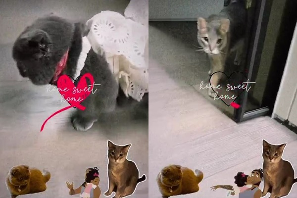 /사진=지드래곤 인스타그램